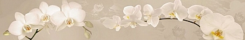 ArtSkinali175.jpg