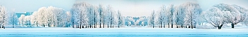 ArtSkinali1758.jpg