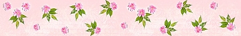 ArtSkinali1848.jpg