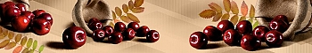 ArtSkinali233.jpg