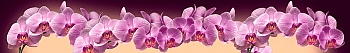 ArtSkinali2367.jpg