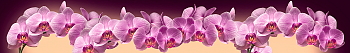 ArtSkinali2367.png