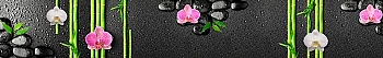 ArtSkinali2376.jpg