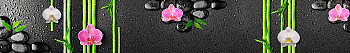 ArtSkinali2376.png