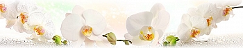 ArtSkinali244.jpg