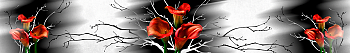 ArtSkinali2450.png