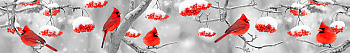 ArtSkinali2455.png