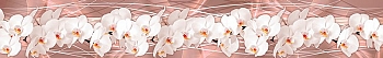 ArtSkinali2464.jpg