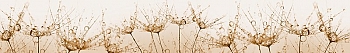 ArtSkinali2509.jpg