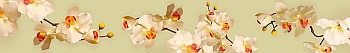 ArtSkinali2554.jpg