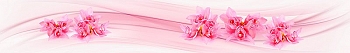 ArtSkinali2574.jpg