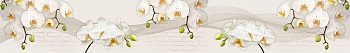 ArtSkinali2579.jpg