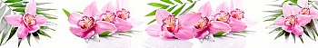 ArtSkinali3066.jpg