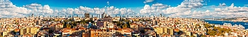 ArtSkinali3142.jpg