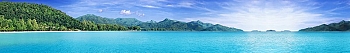 ArtSkinali3171.jpg