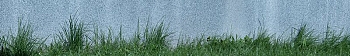 ArtSkinali3216.jpg