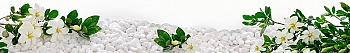ArtSkinali3221.jpg