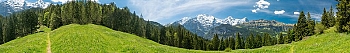 ArtSkinali3222.jpg