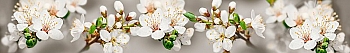 ArtSkinali3371.jpg