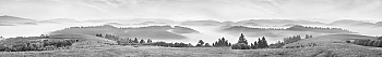 ArtSkinali3597.jpg