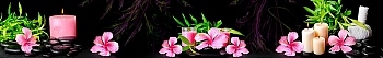 ArtSkinali424.jpg