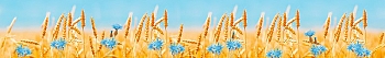 ArtSkinali657.jpg
