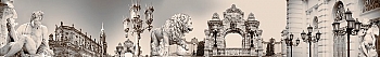 ArtSkinali663.jpg