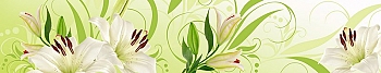ArtSkinali761.jpg