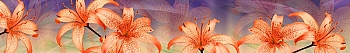 ArtSkinali782.jpg