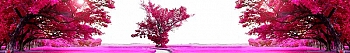 ArtSkinali845.jpg