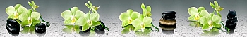 ArtSkinali862.jpg