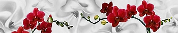 ArtSkinali91.jpg