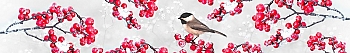 ArtSkinali940.jpg