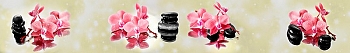 ArtSkinali996.jpg